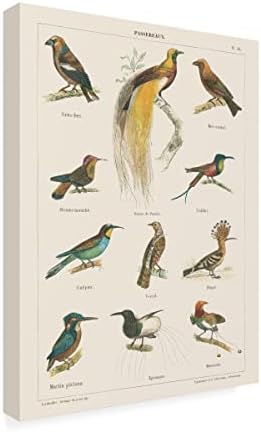Търговска марка на Fine Art 'Bird Графика I' Платно-арт от Wild Apple Portfolio 14x19