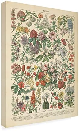 Търговска марка на Fine Art 'French Flower Chart' Платно-арт от Wild Apple Portfolio 18x24