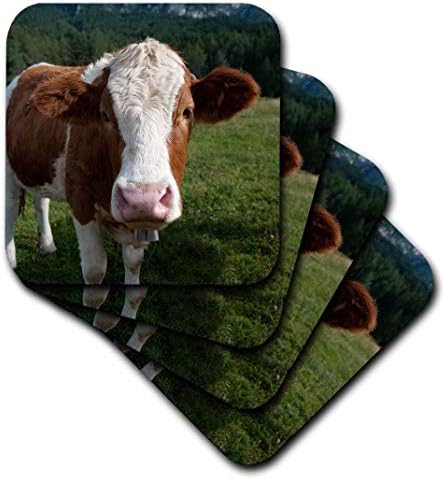 Меки подложки за крави порода Симменталь 3dRose CST_165721_1, (Комплект от 4 броя)