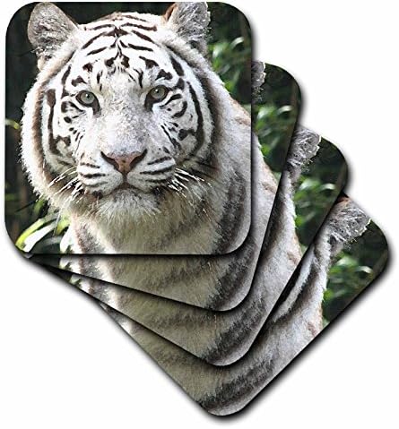 3dRose CST_4845_1 Меки подложки White Tiger Комплект от 4