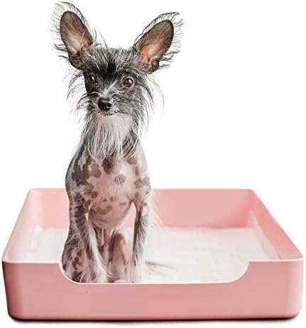 Тава за кучешка пот в банята и държач за тренировъчен подложка с 4-инчов Защитни стени (тъмно-сиво)